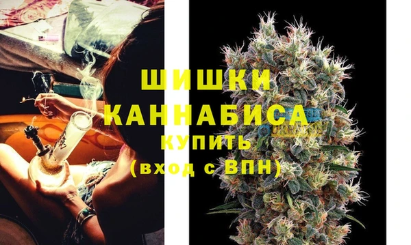 твердый Медногорск