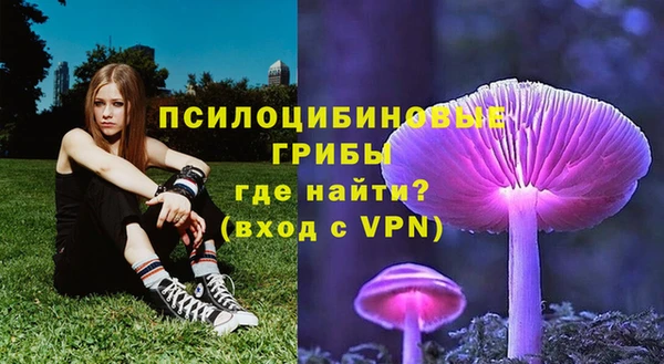 тгк Мегион