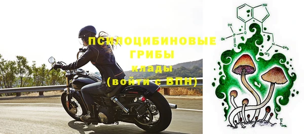 кокс Магас