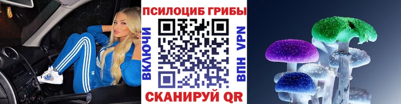 Галлюциногенные грибы Psilocybine cubensis  закладка  Микунь 